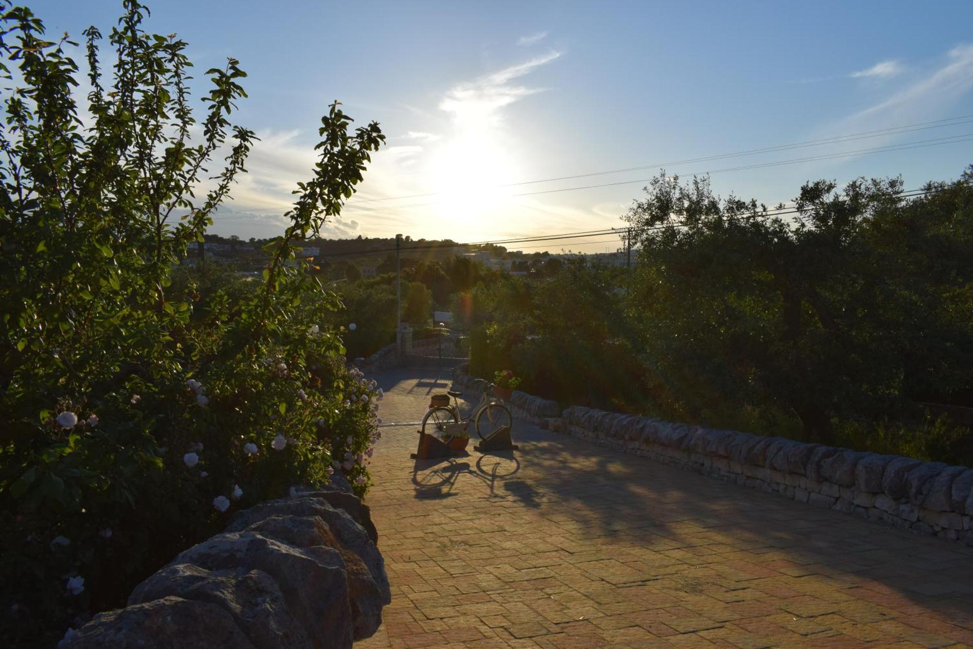 La Rosa Dei Trulli B&B Alberobello Exterior foto