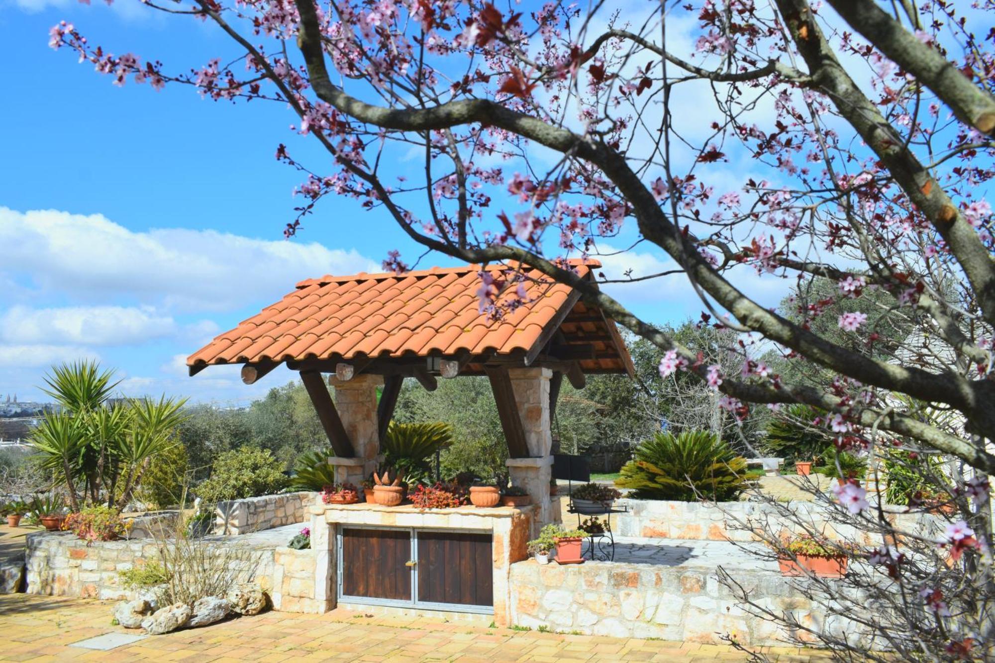 La Rosa Dei Trulli B&B Alberobello Exterior foto